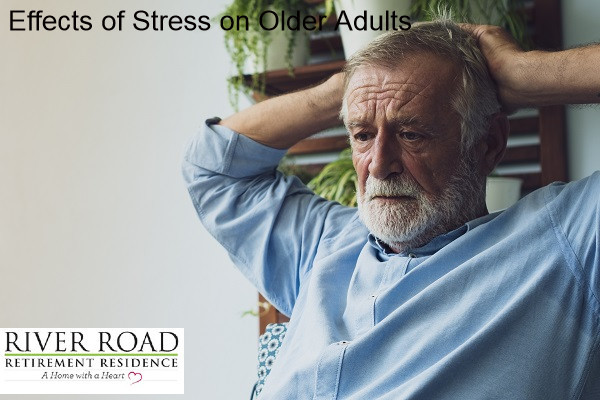 effects-stress-older-adults