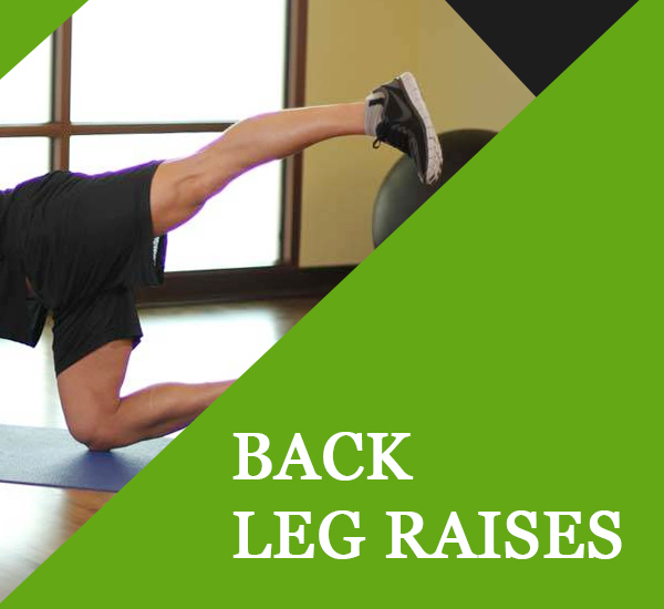 Back Leg Raises