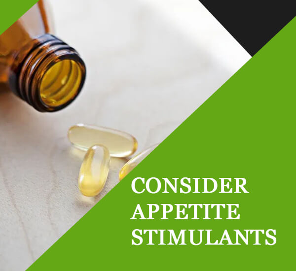 consider-appetite-stimulants