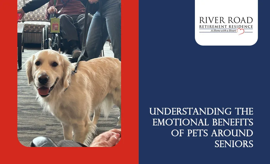 Emotional Benefits of Pets Around Seniors
