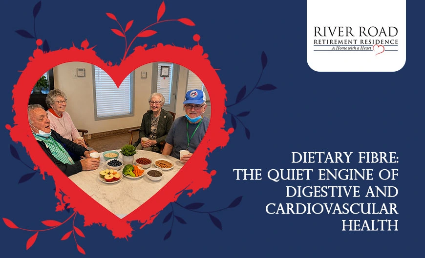 Dietary Fibre: The Quiet Engine of Digestive and Cardiovascular Health